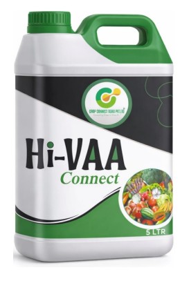 Hi-VAA Connect